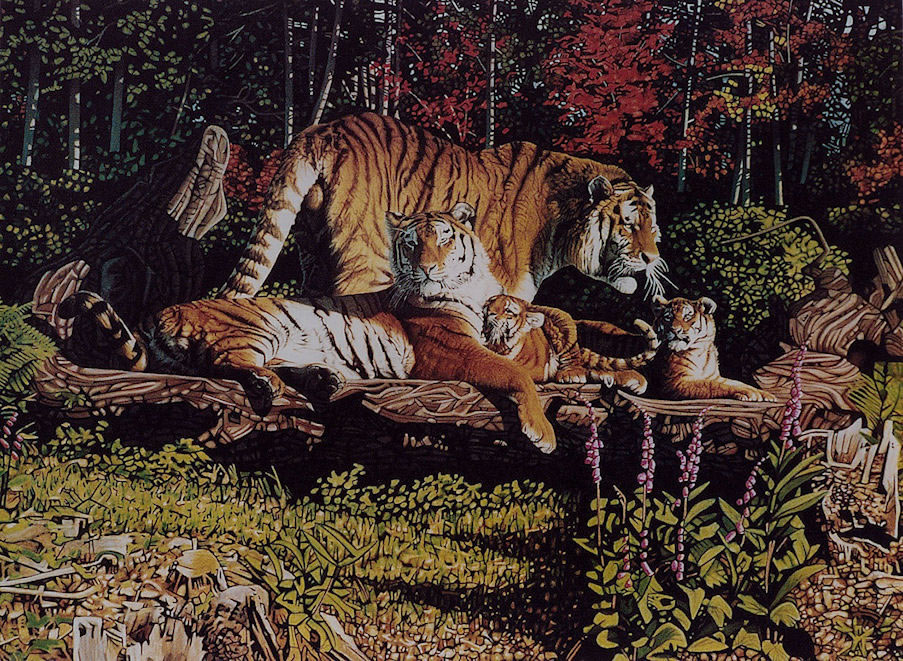 family of tigers