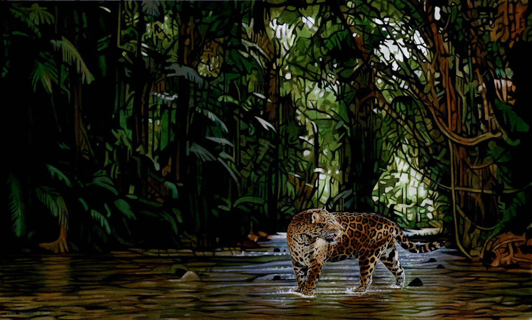 jungle king jaguar