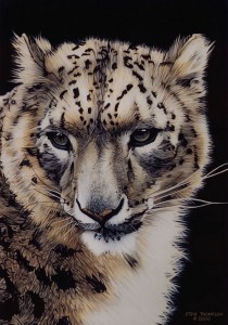 portrait of snow leopard